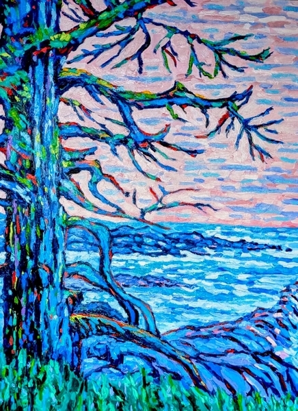 Ancient Cedars Loop, Ucluelet